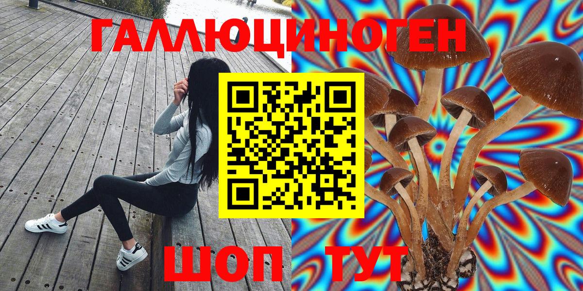 Псилоцибиновые грибы Magic Shrooms  как найти наркотики  Алейск  Вход с VPN 