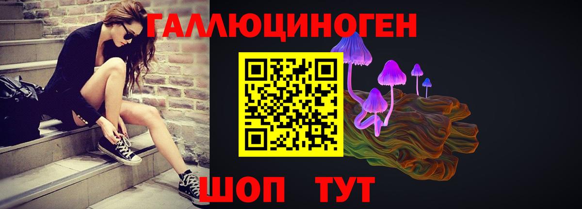 Галлюциногенные грибы мухоморы Алейск
